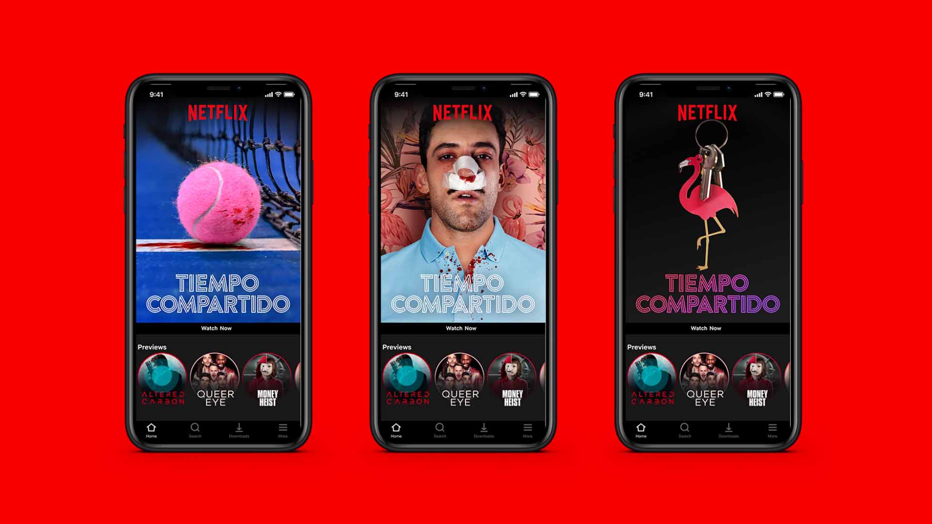 Netflix Key Art.
