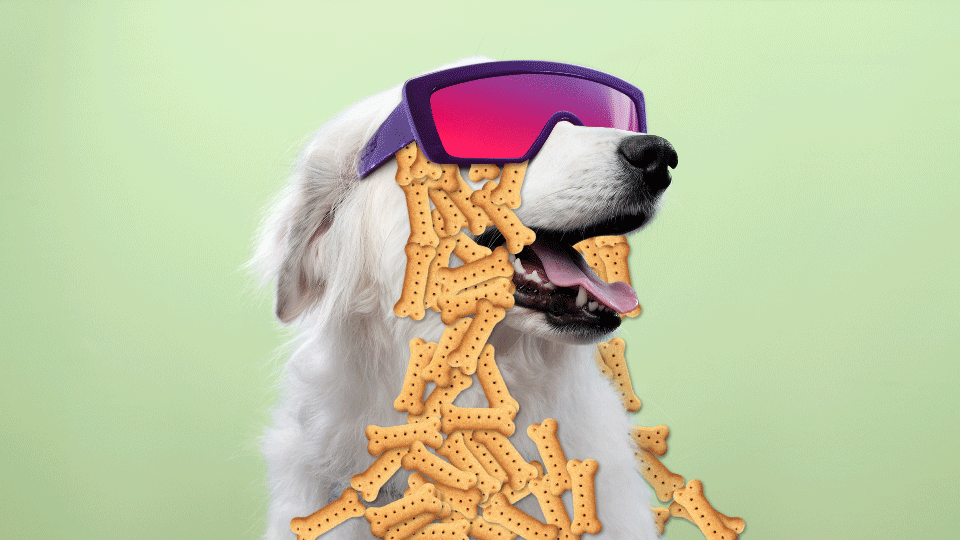 Nick. Channel Rebrand.